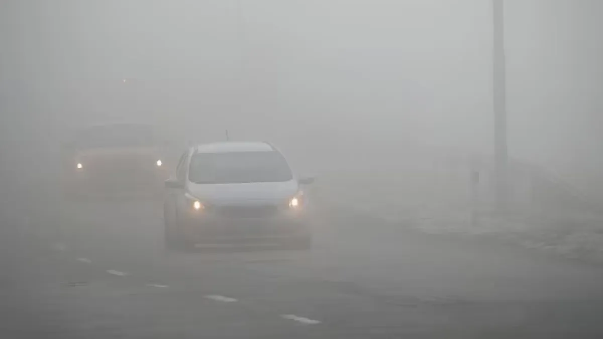 fog driving safety guidelines advisory from noida administration follow these rules to avoid