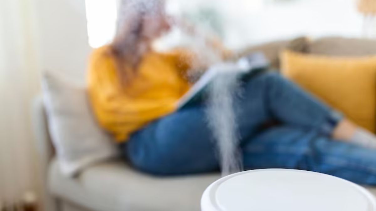 air purifier cleaning hacks (2)