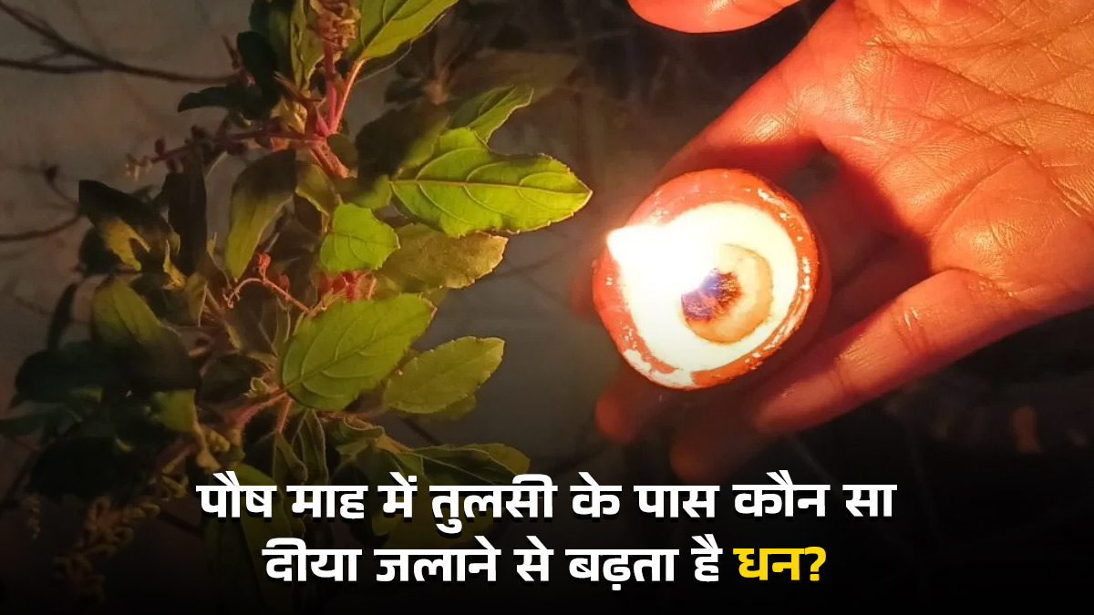 Tulsi Puja Niyam In Paush Month: पौष माह में तुलसी के पास कौन सा दीया जलाने से बढ़ता है धन? जानें सही तरीका
