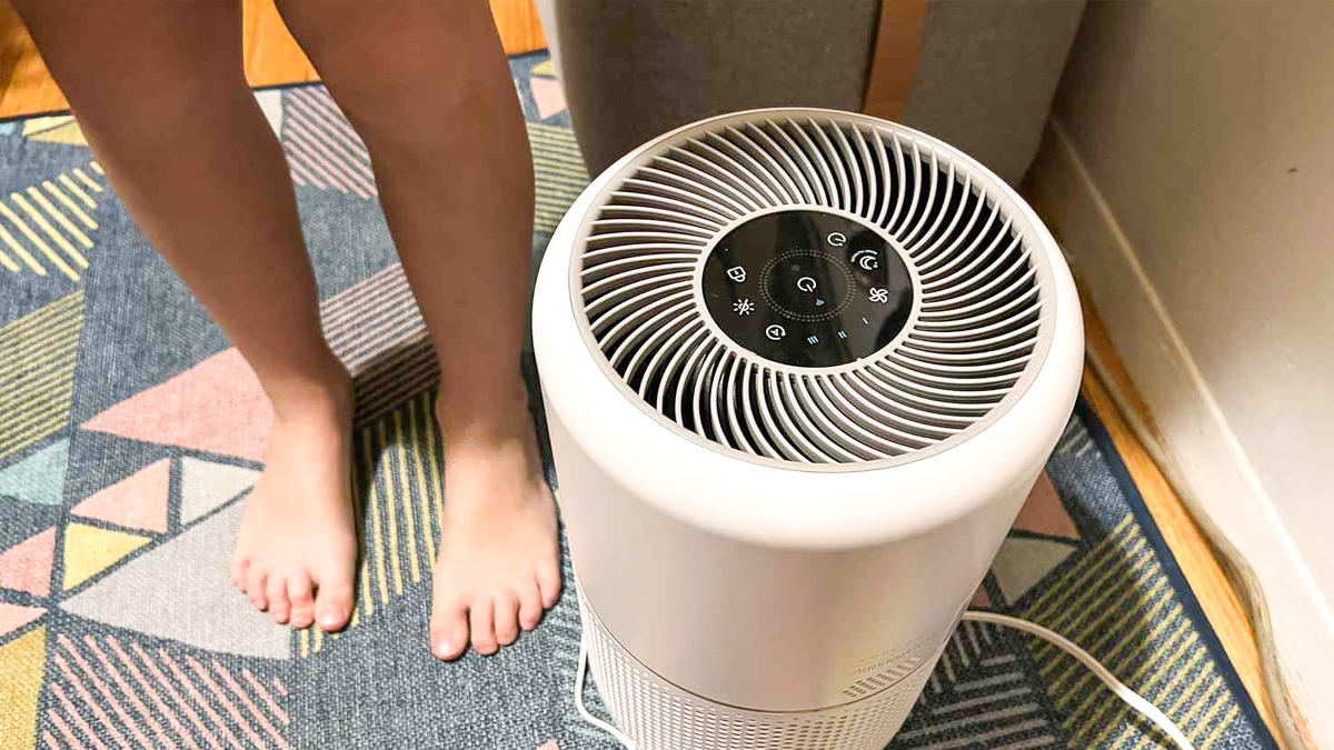 air purifier filter kab badalna chahiye