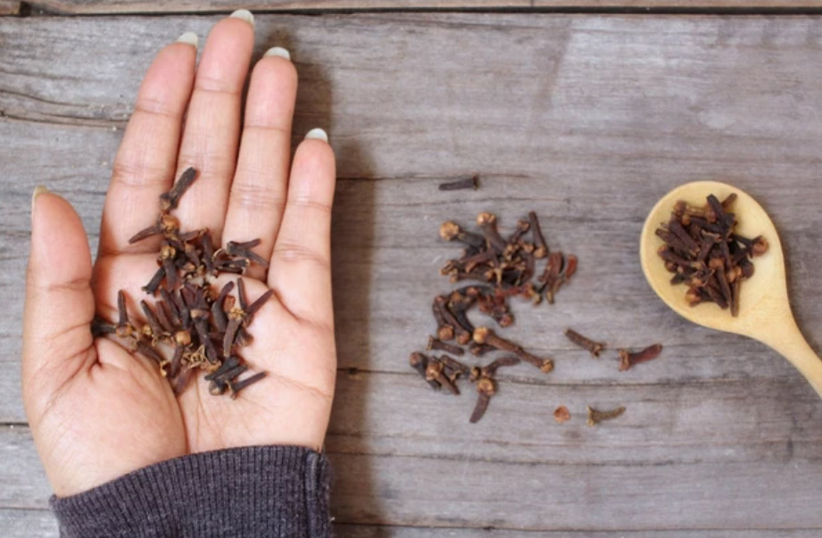 use laung for tulsi plan