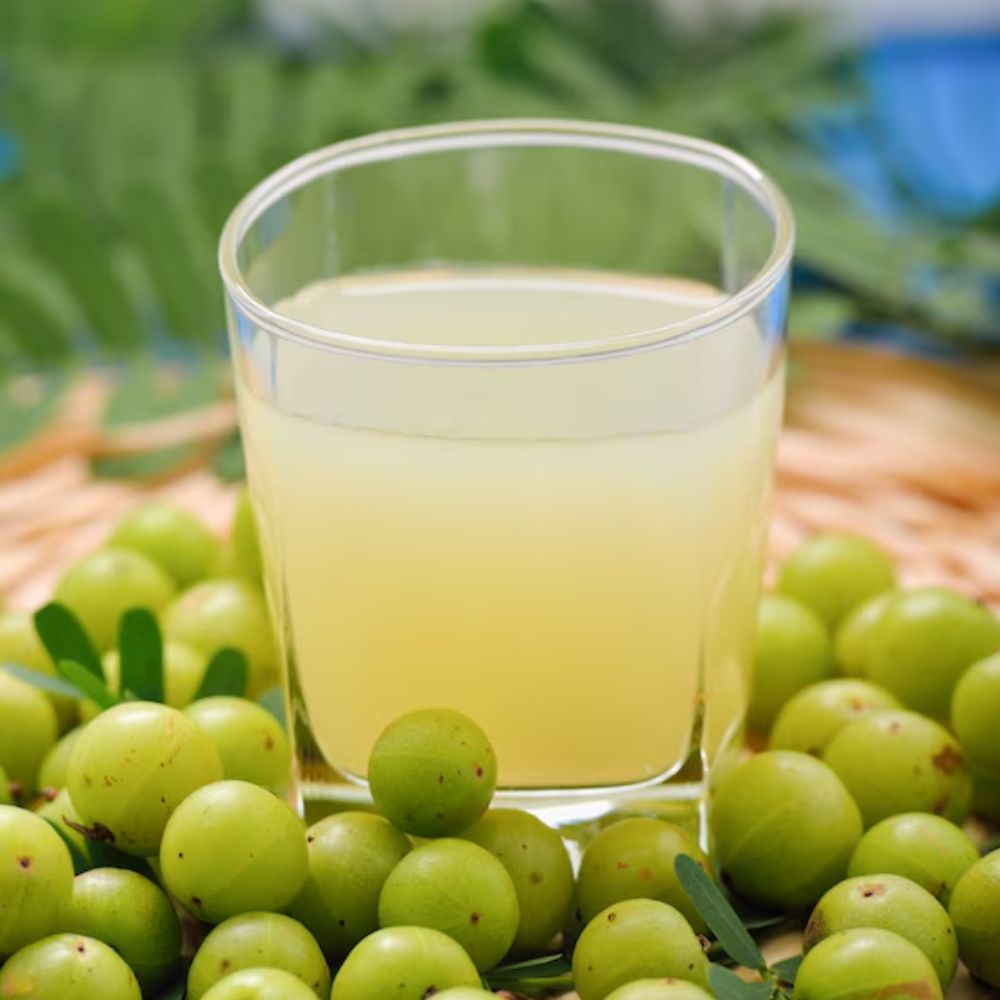 INS  - 2025-12-23T000036.818