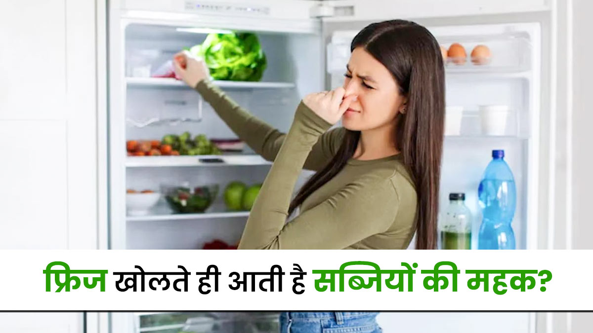 फ्रिज खोलते ही आती है सब्जियों की महक? बस एक टुकड़ा 'कोयला' और 'अखबार' दूर कर देगा महीनों पुरानी बदबू
