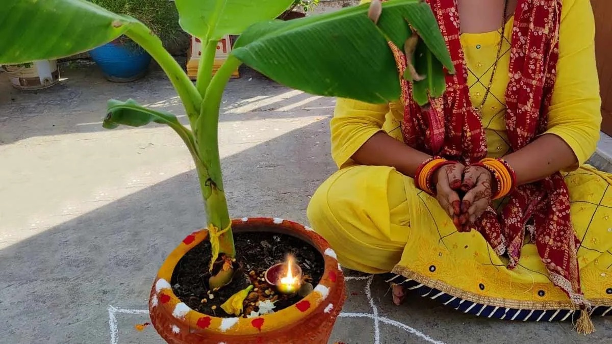 ghar mein kele ka paudha lagane ka mahatva