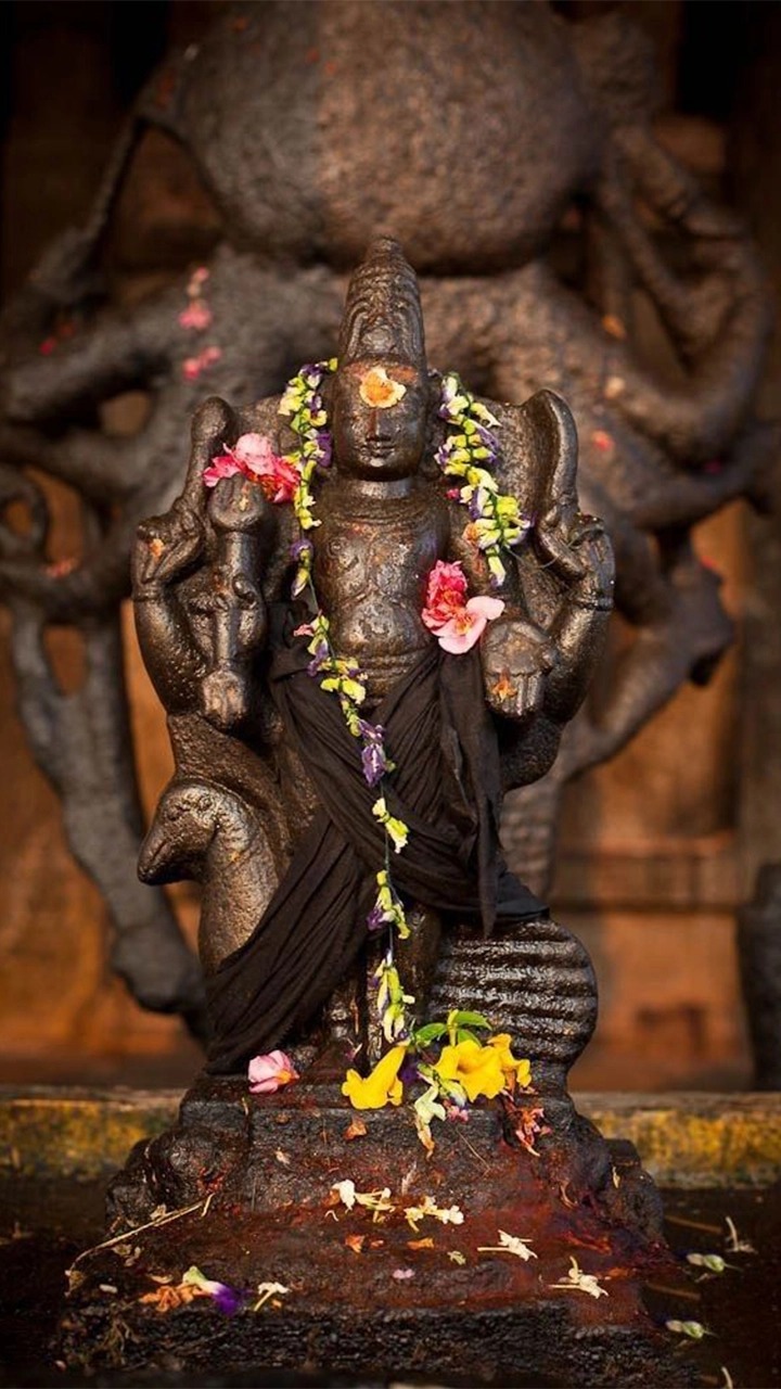 what happens when shani is margi