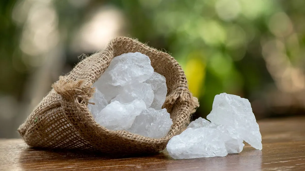 peepal tree removal hacks