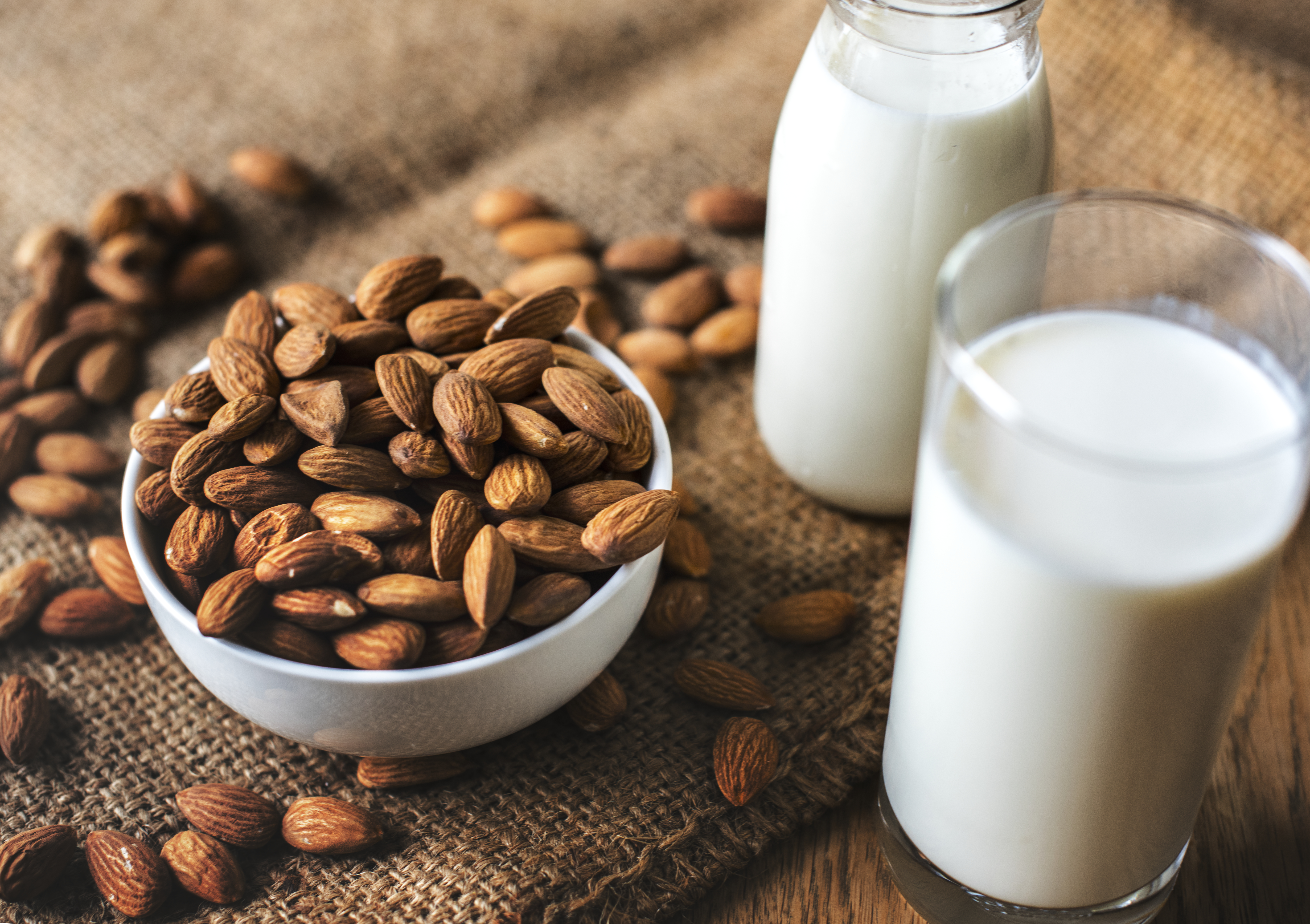 organic-almond-milk-almonds
