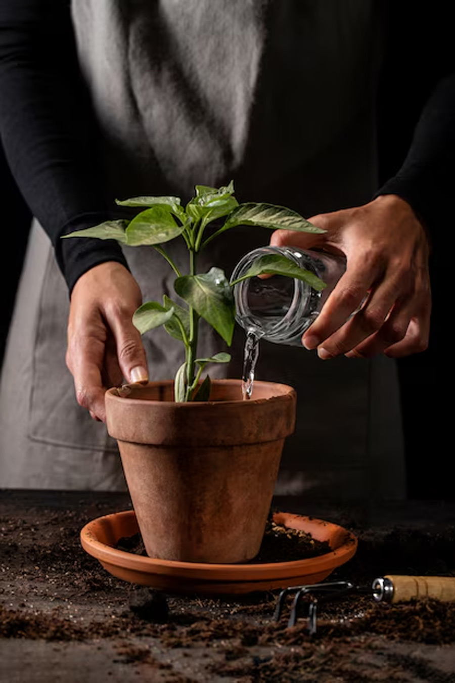 2 - 2026-01-05T152111.833