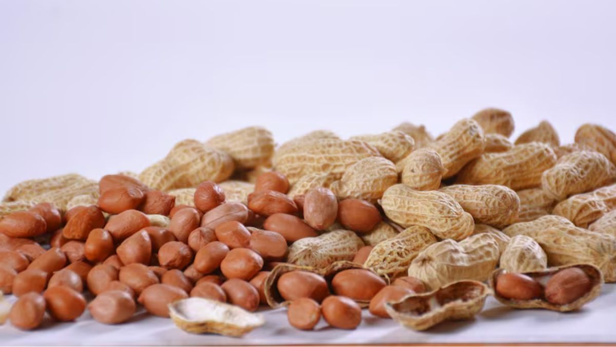 cracked heels treatment (2)