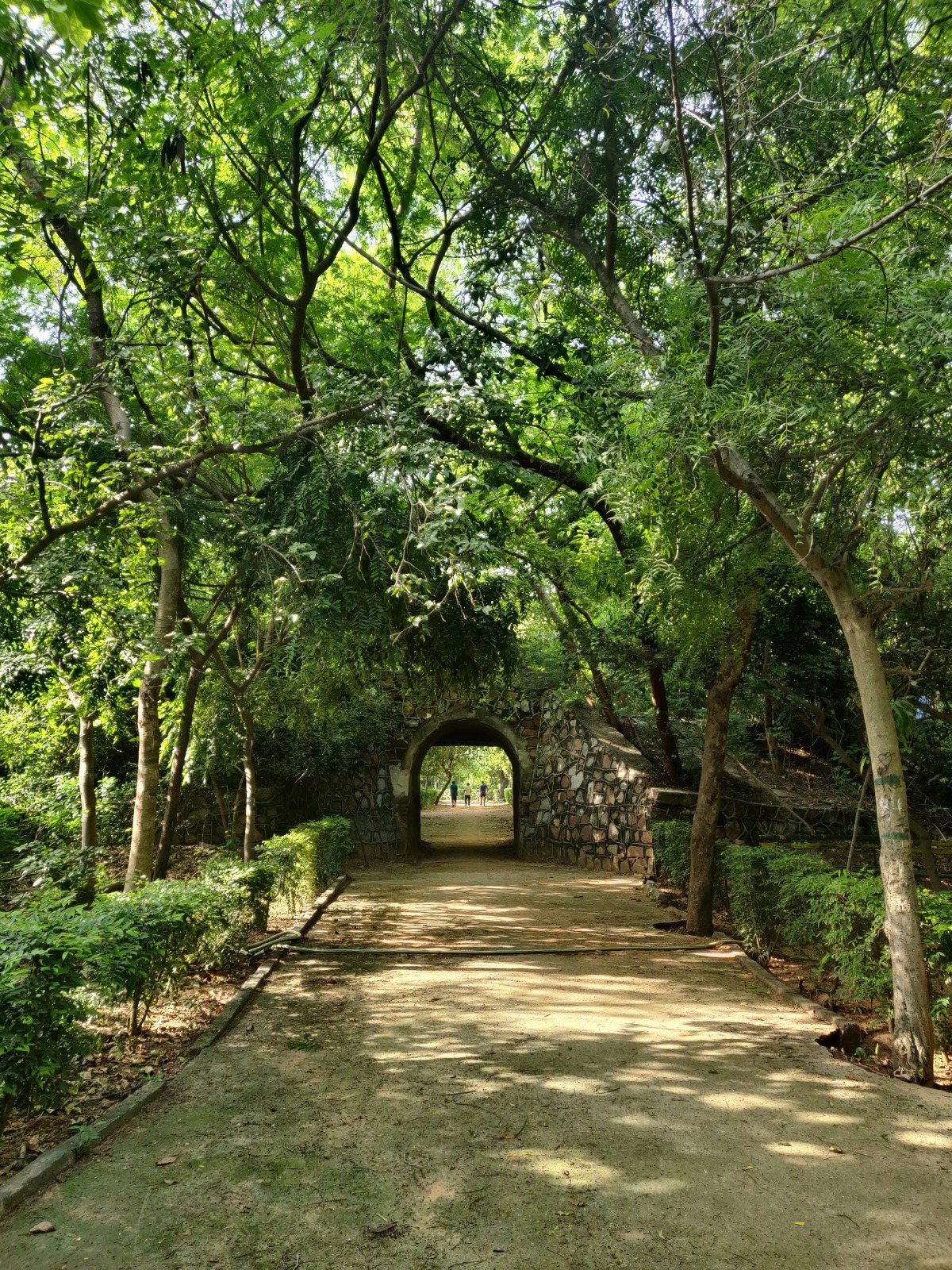 jahanpanah city forest