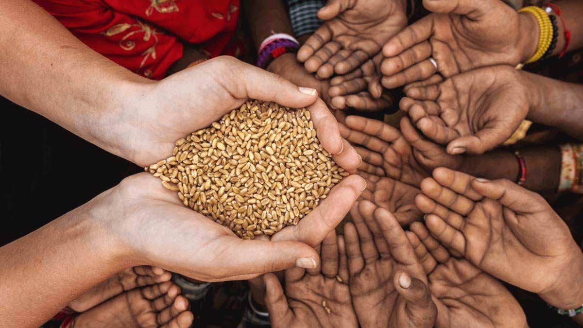 Donation in Magh Mela 2026: जानें क्यों किया जाता है दान और कौन से पापों का होता है नाश 5 magh mela 2026 daan profit