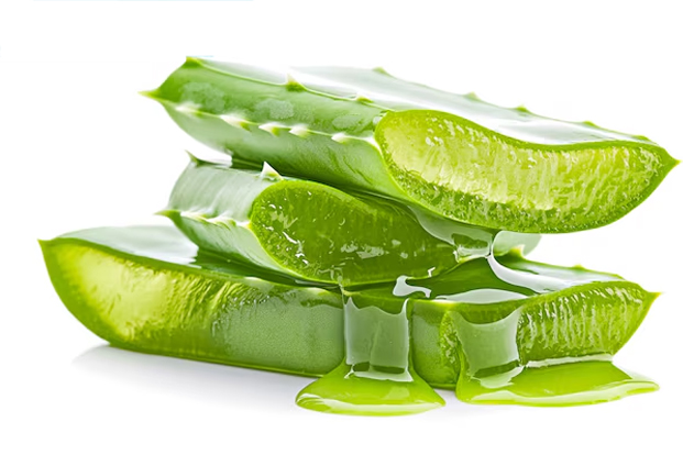 1 - 2026-01-08T153405.229