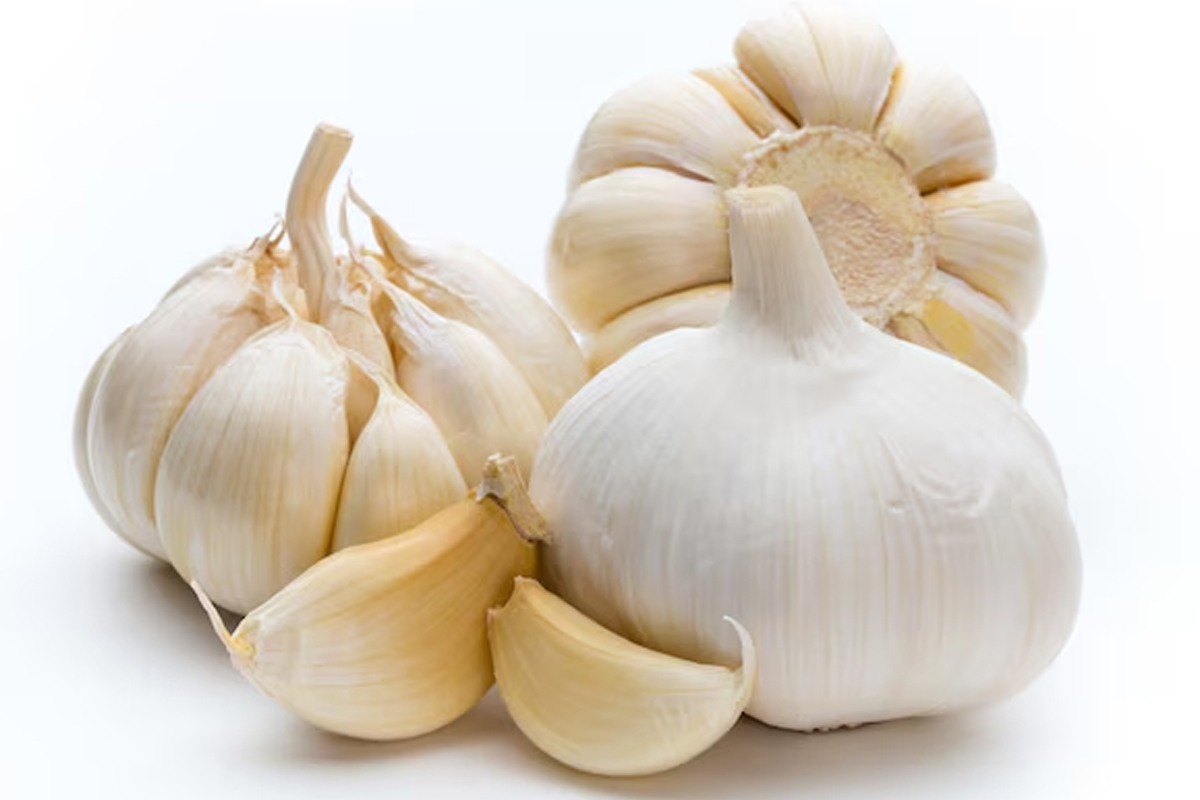 2 - 2026-01-08T141634.399