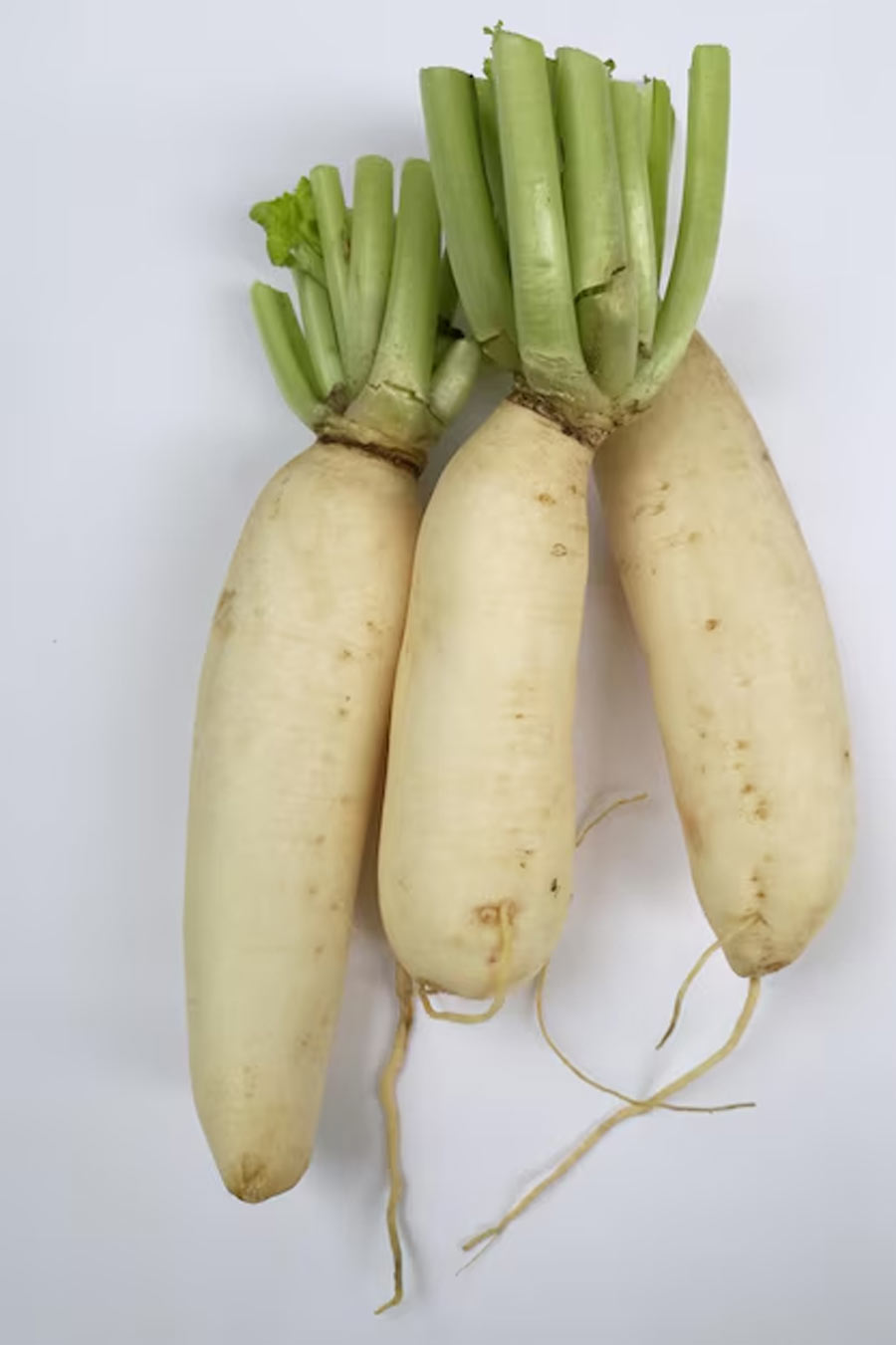 2 - 2026-01-08T164307.445