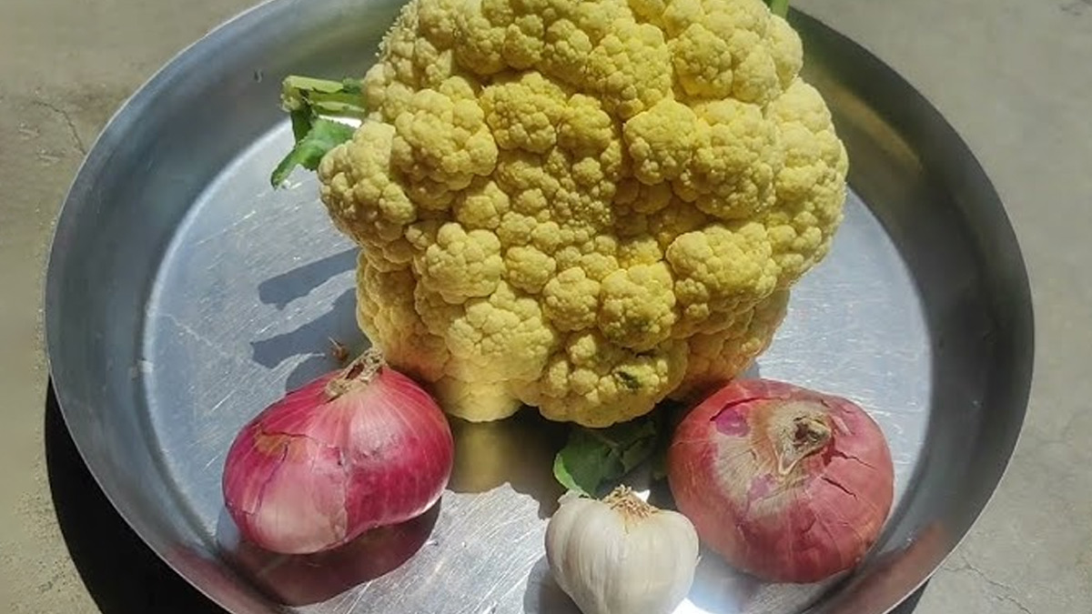 Phool Gobhi Ka Chokha