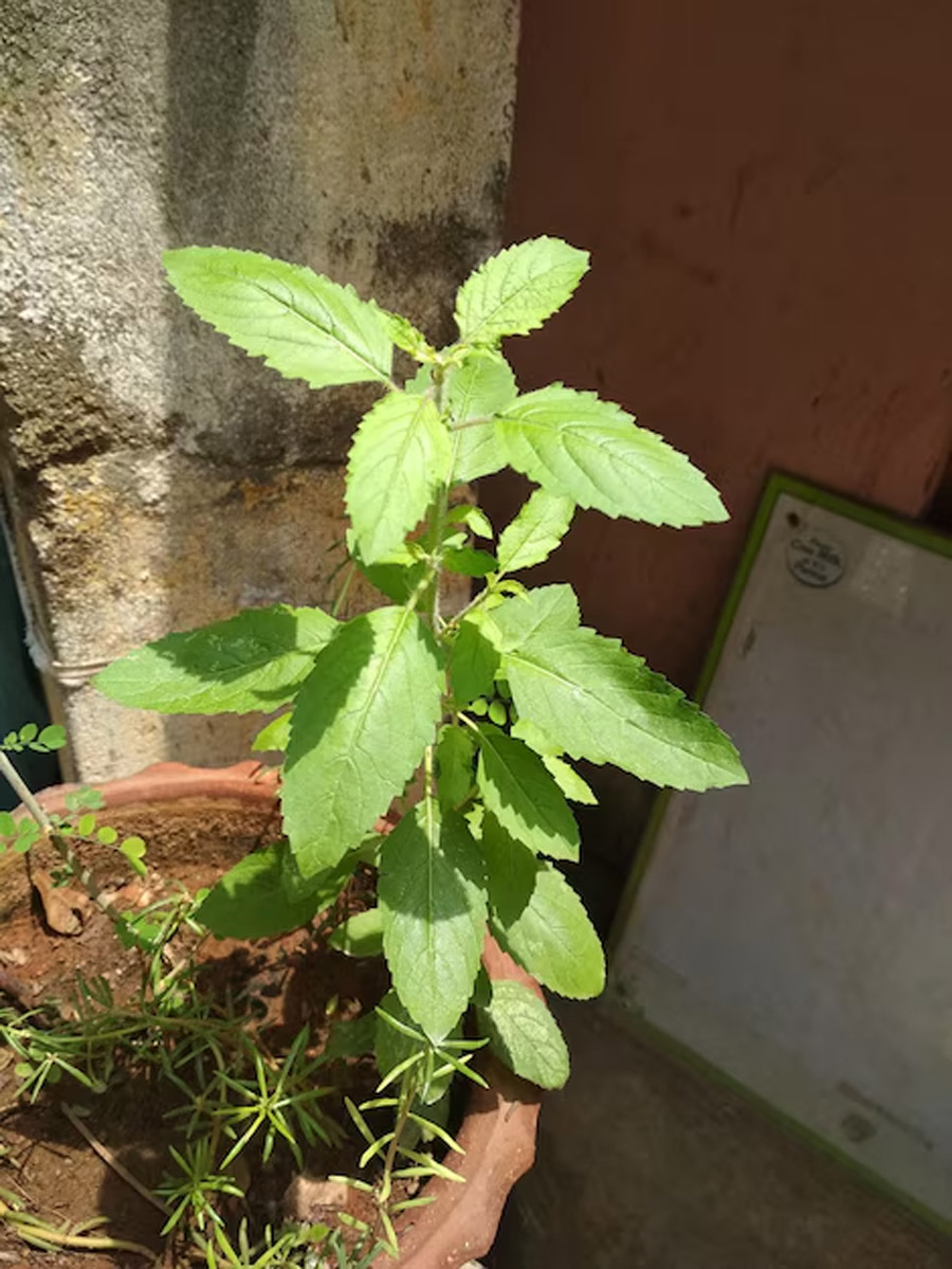 2 - 2026-01-13T114849.426