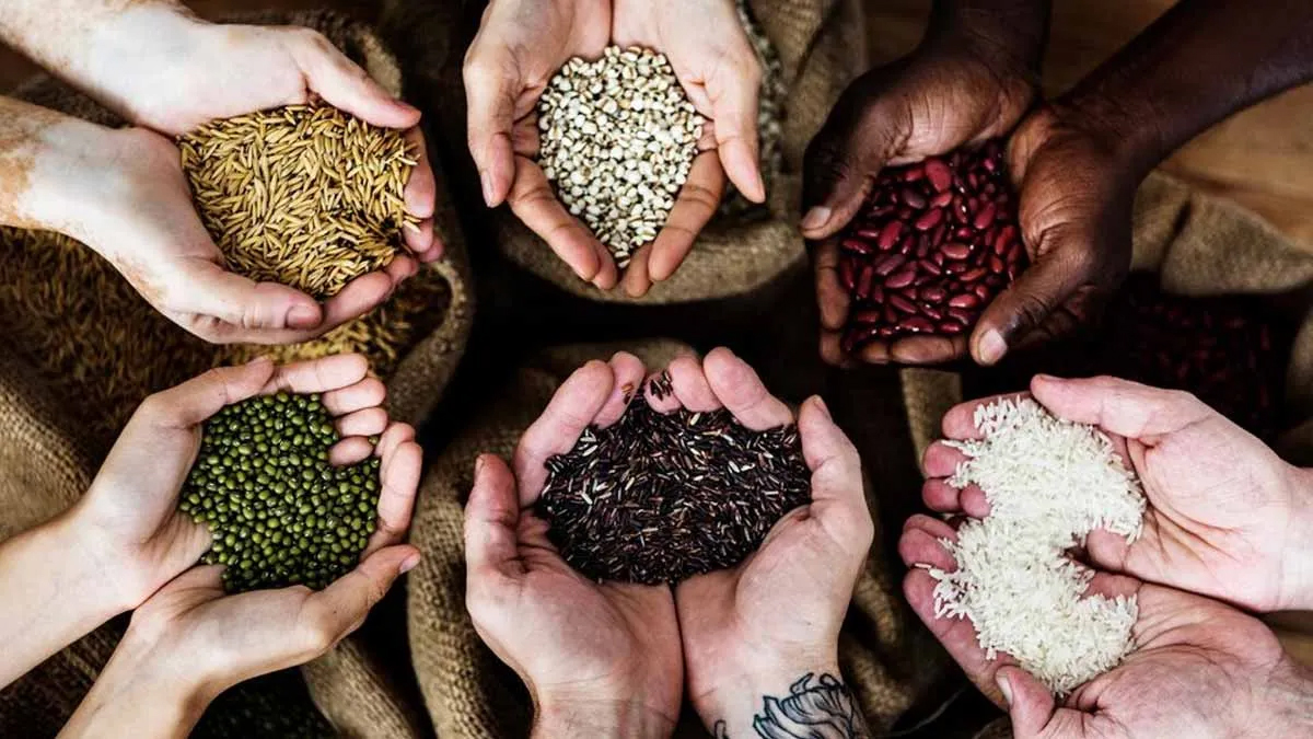 khichdi ka daan kise karna chahiye