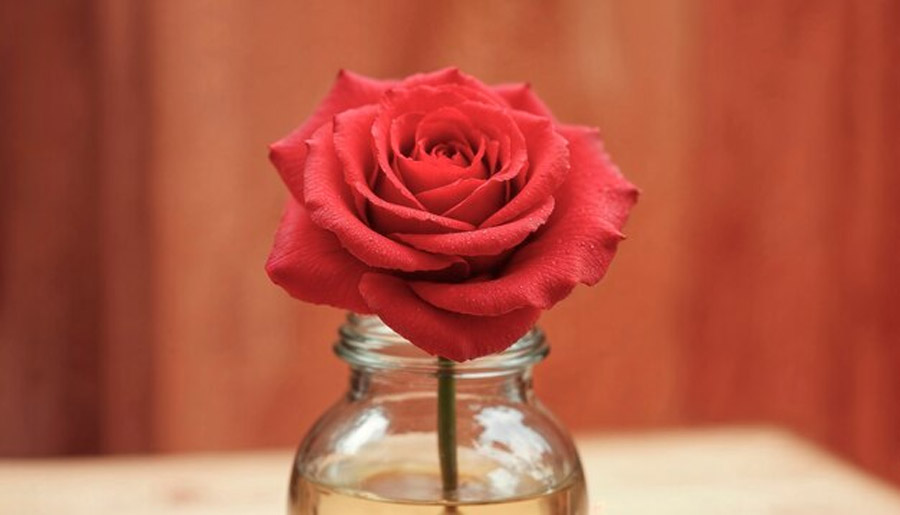 3 - 2026-01-14T130433.064