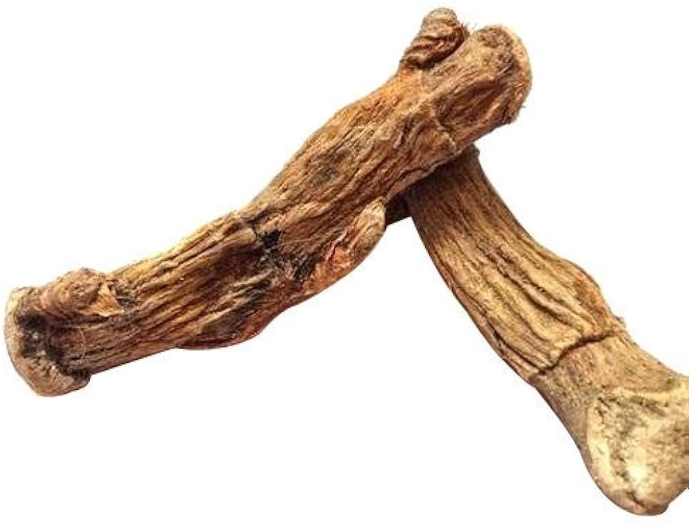 vasambu herb for silverfish easy hack