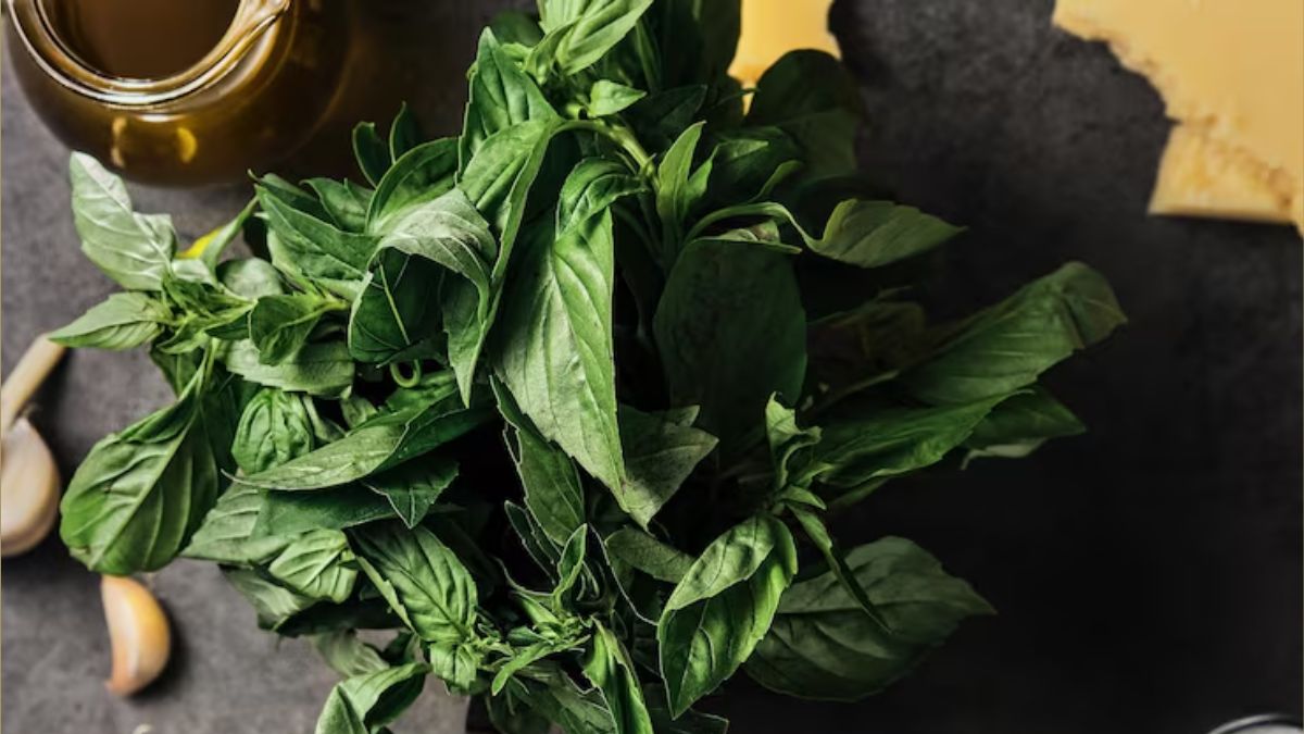 green leafy vegetable storage tips (2)