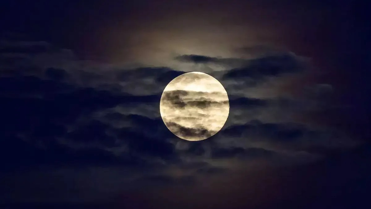 mauni amavasya 2026 pitru chalisa path ke labh