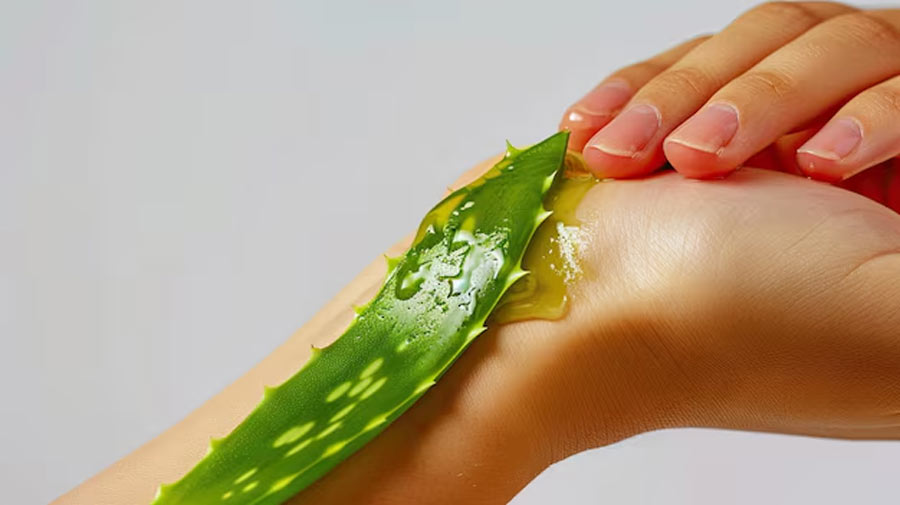 1 - 2026-01-23T191813.098