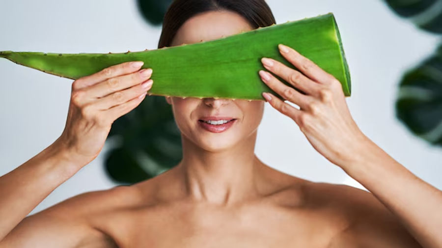 2 - 2026-01-23T191811.368