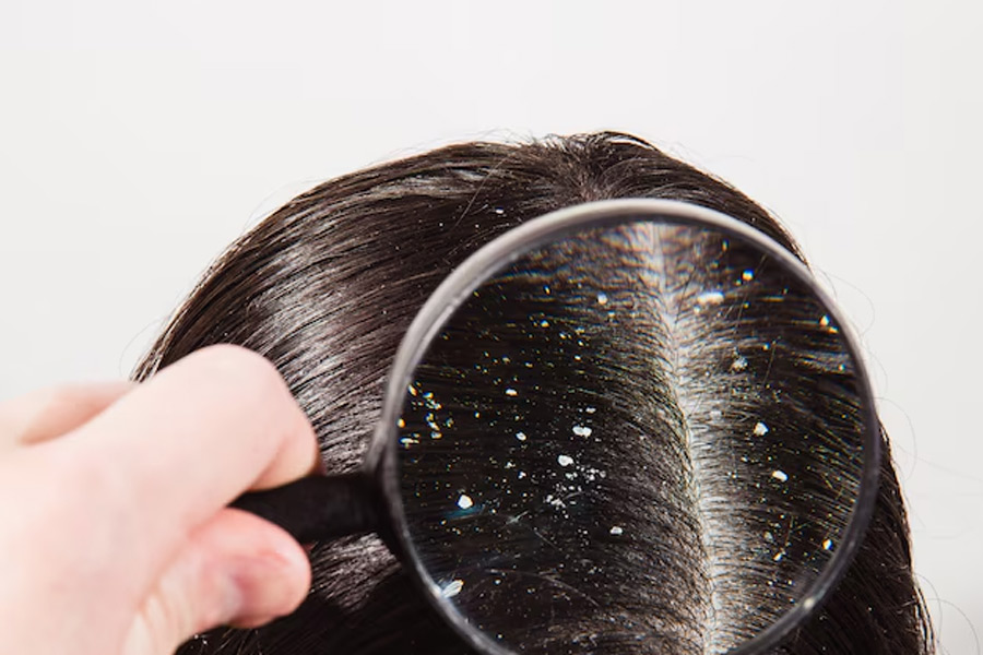 2 - 2026-01-23T204528.210