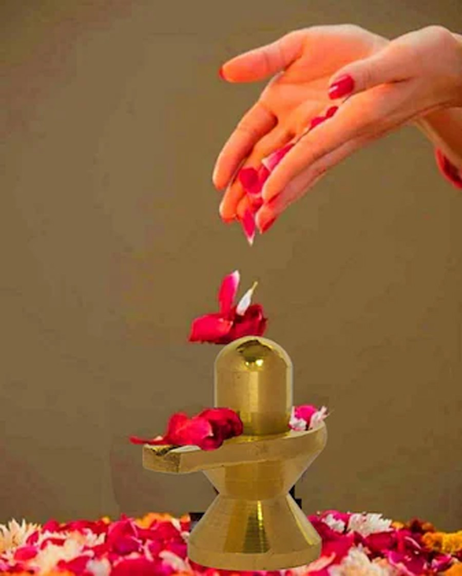 3 - 2026-01-23T104201.564