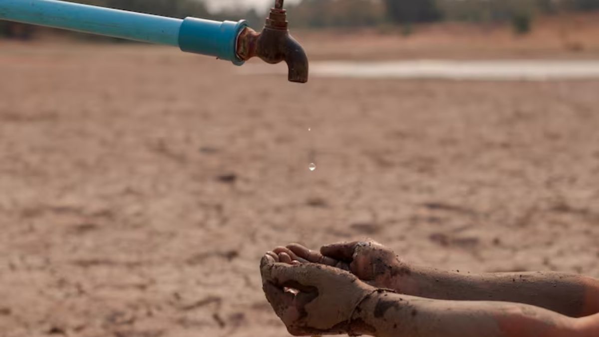 CM Bhagwant Singh Mann (1)