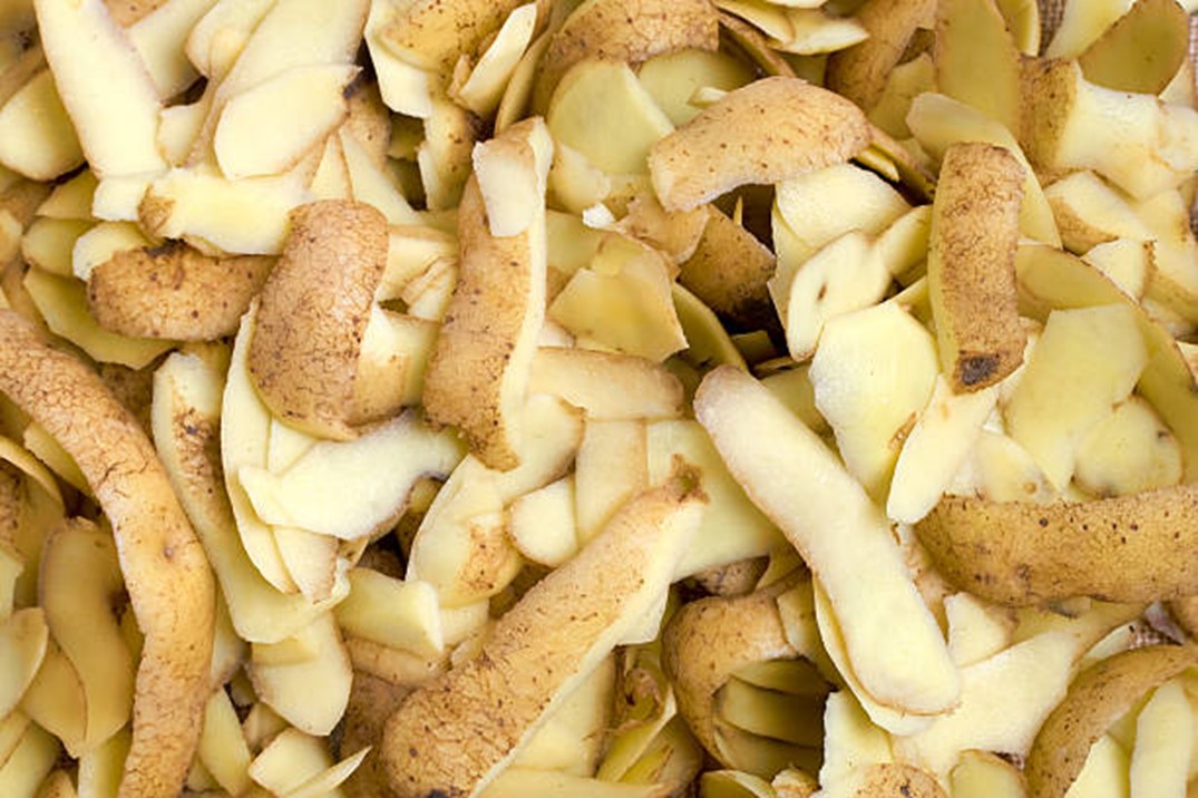 aloo ke chilke se banaye fertilizer