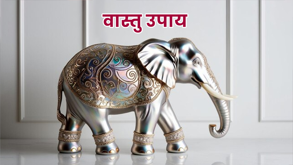 Vastu Tips: वास्तु दोष से मिलेगी राहत, जानें किस धातु का हाथी रखना होता है शुभ?
