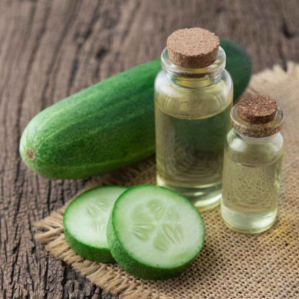 INS  - 2026-01-29T194038.682