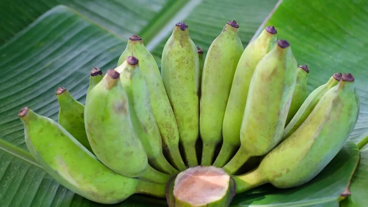 What can you use in place of potatoes