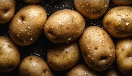 how to store potatoes for long time at home