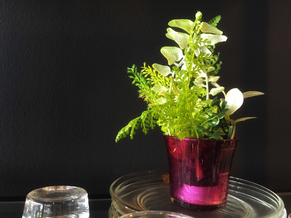 1 - 2026-01-29T123523.230