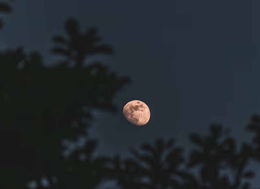 2 - 2026-01-30T164529.939