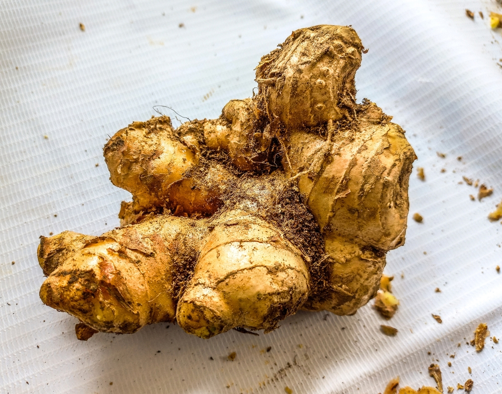 how to store ginger long term