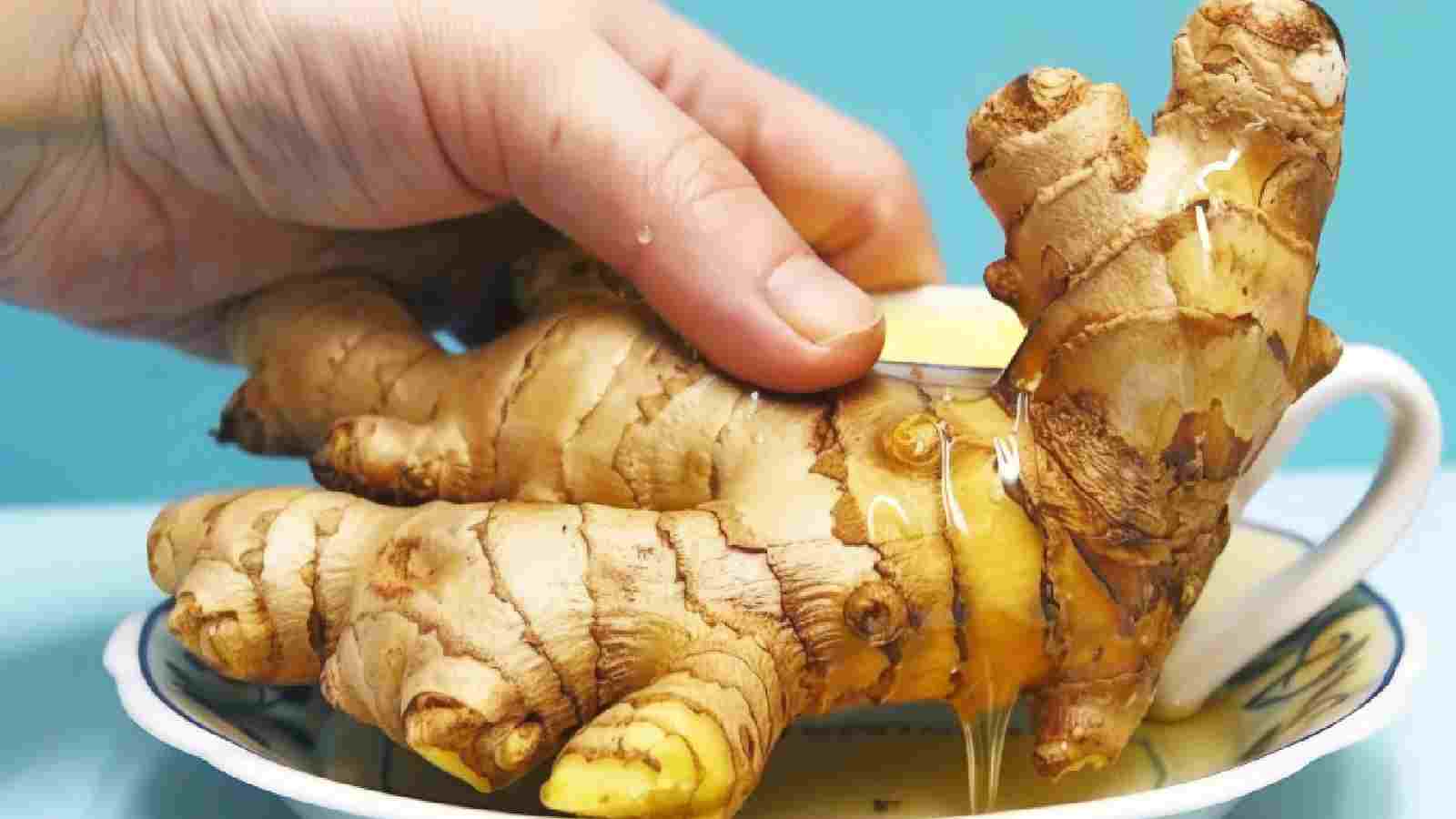 peeled ginger storage tips