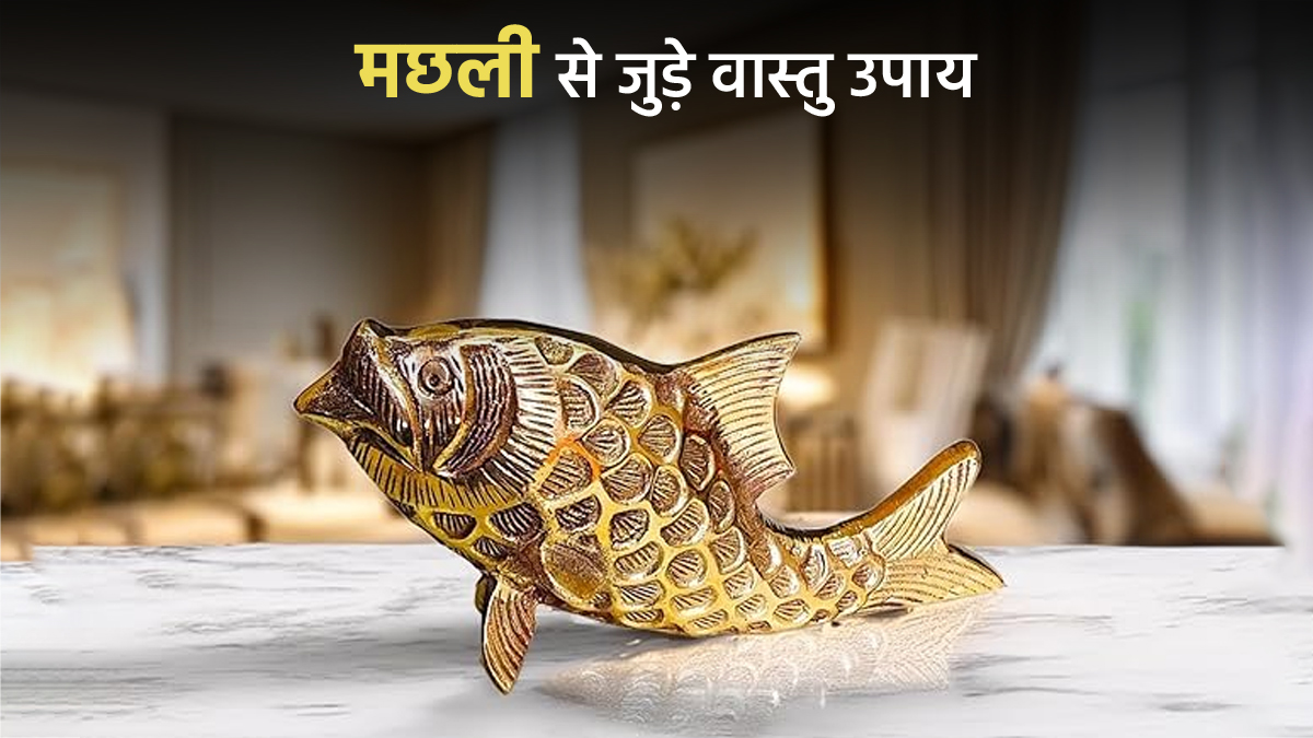 Vastu Tips: चांदी हो रही है महंगी, तो इस धातु से बनी मछली रखकर सुधारें घर का वास्तु