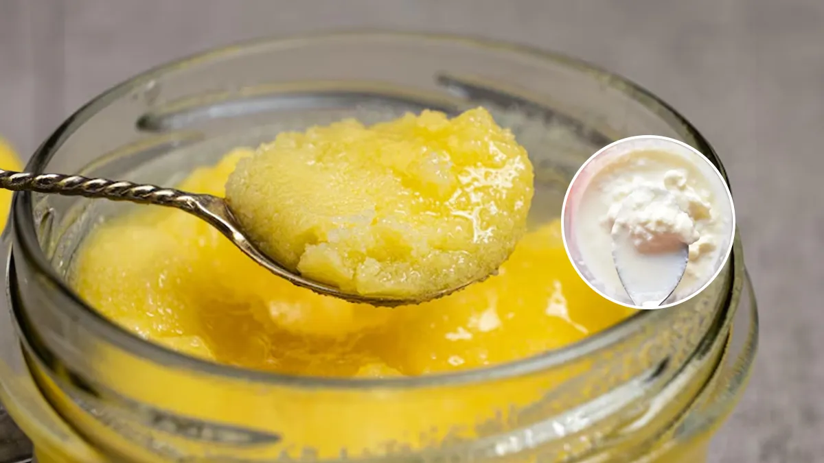 malai ghee