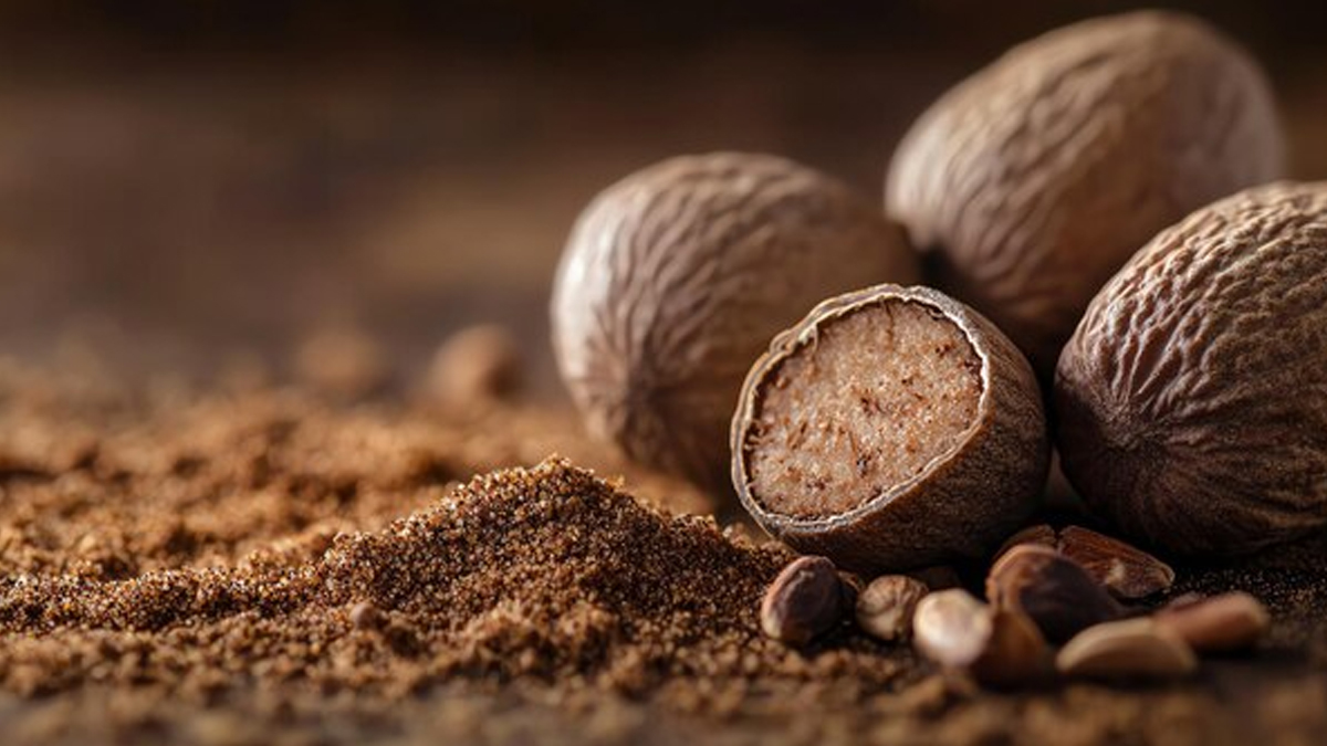 1 - 2026-02-03T184555.869