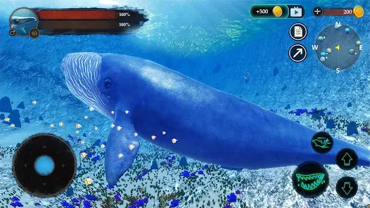 Blue Whale Challenge Game
