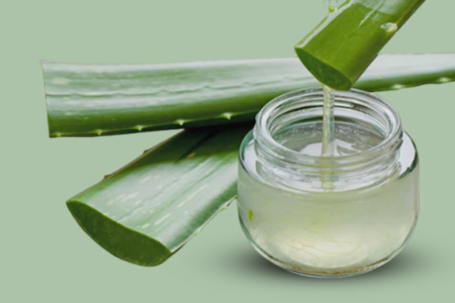 aloe vera for long hair