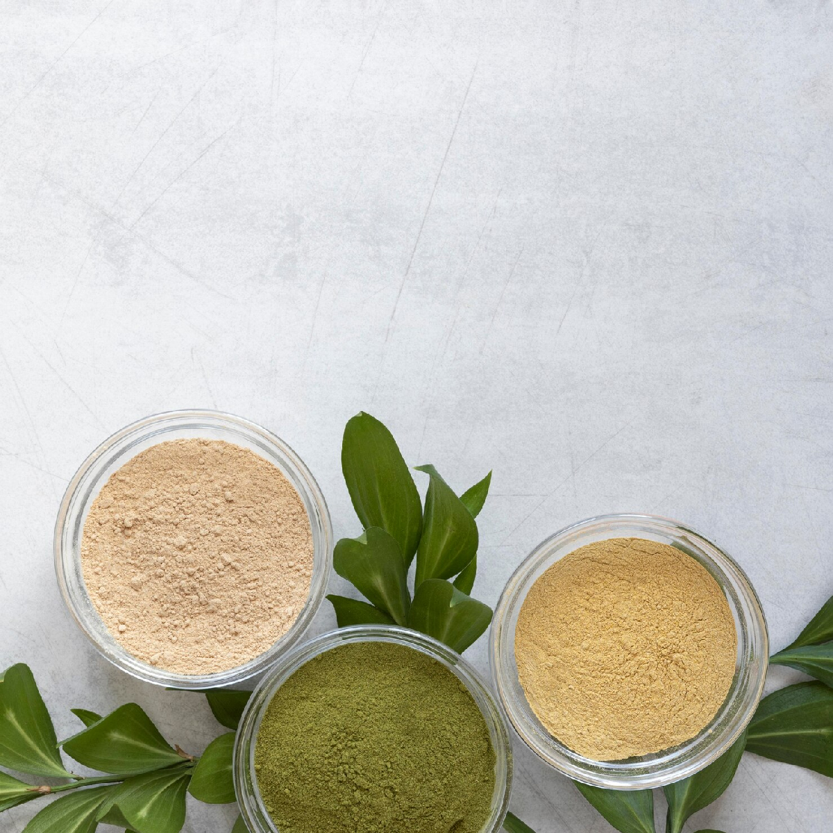 2 - 2026-02-06T202629.769