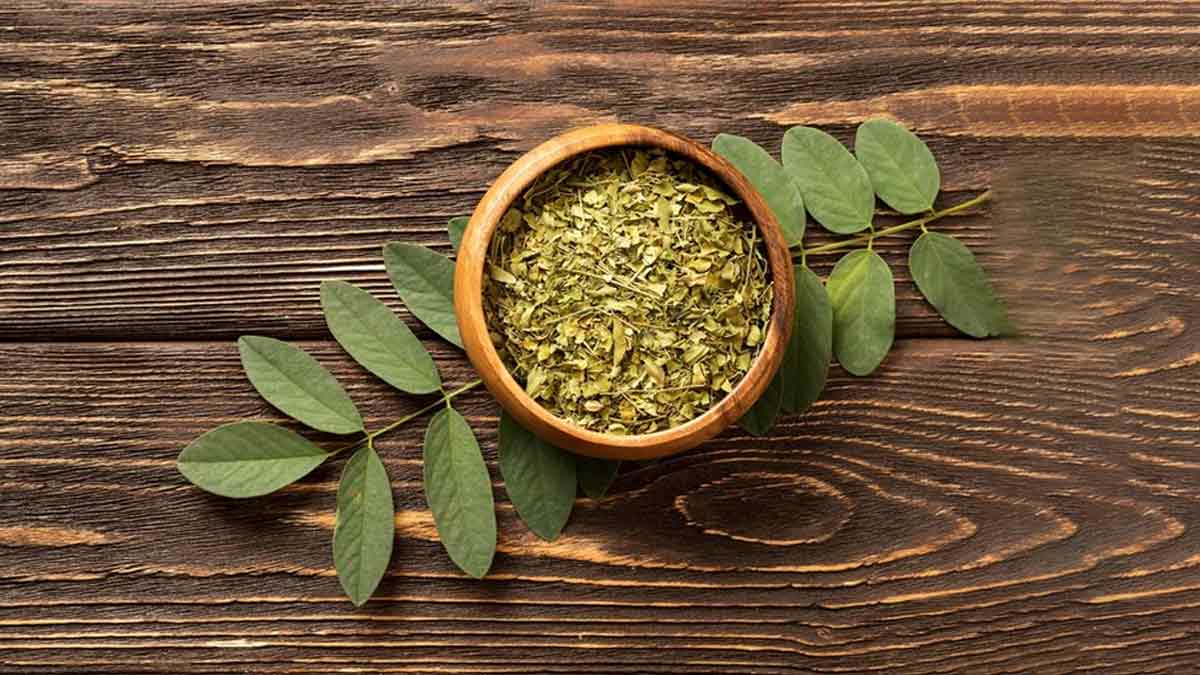 आपके बालों, स्किन और पाचन के लिए वरदान है यह 1 पत्ता, खाने का सही तरीका जान लेंगी तो सेहत हो जाएगी जबरदस्त