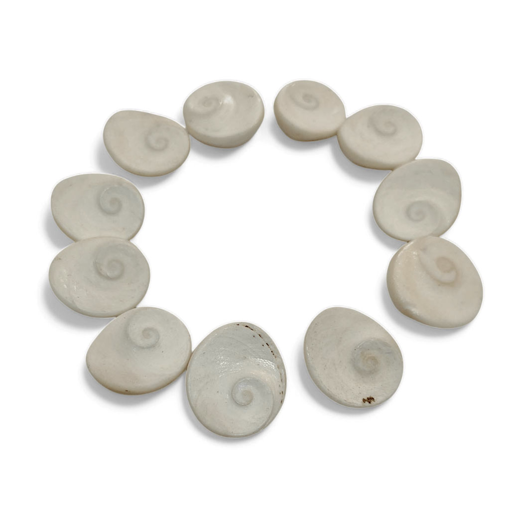 2 - 2026-02-09T125747.808