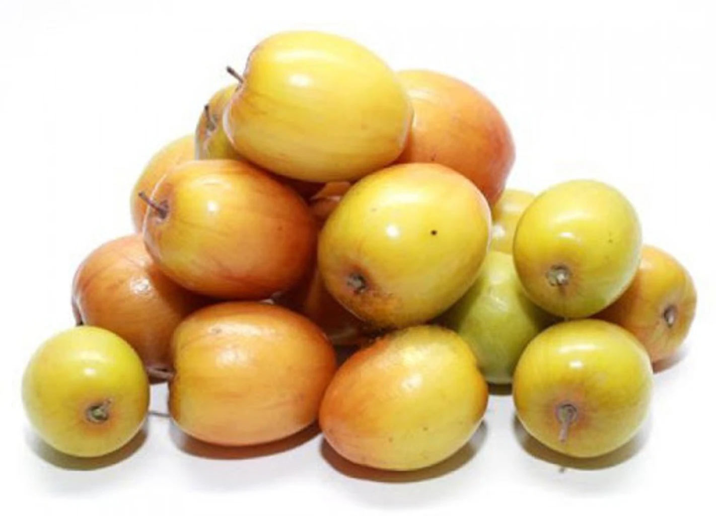 2 - 2026-02-09T125811.486