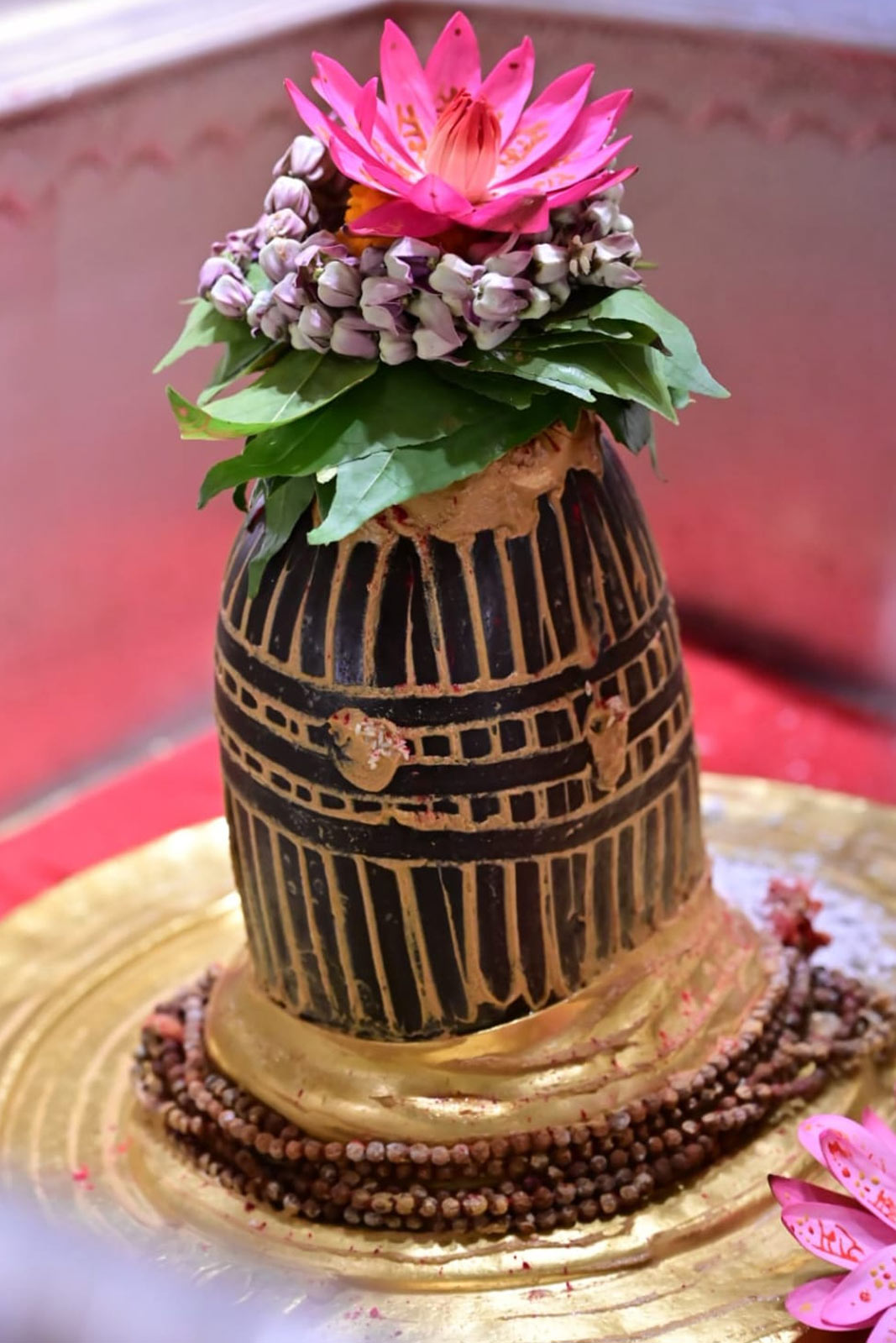 3 - 2026-02-09T125833.909