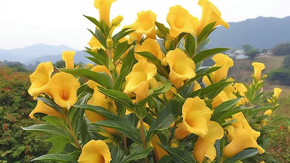 2 - 2026-02-10T135915.975